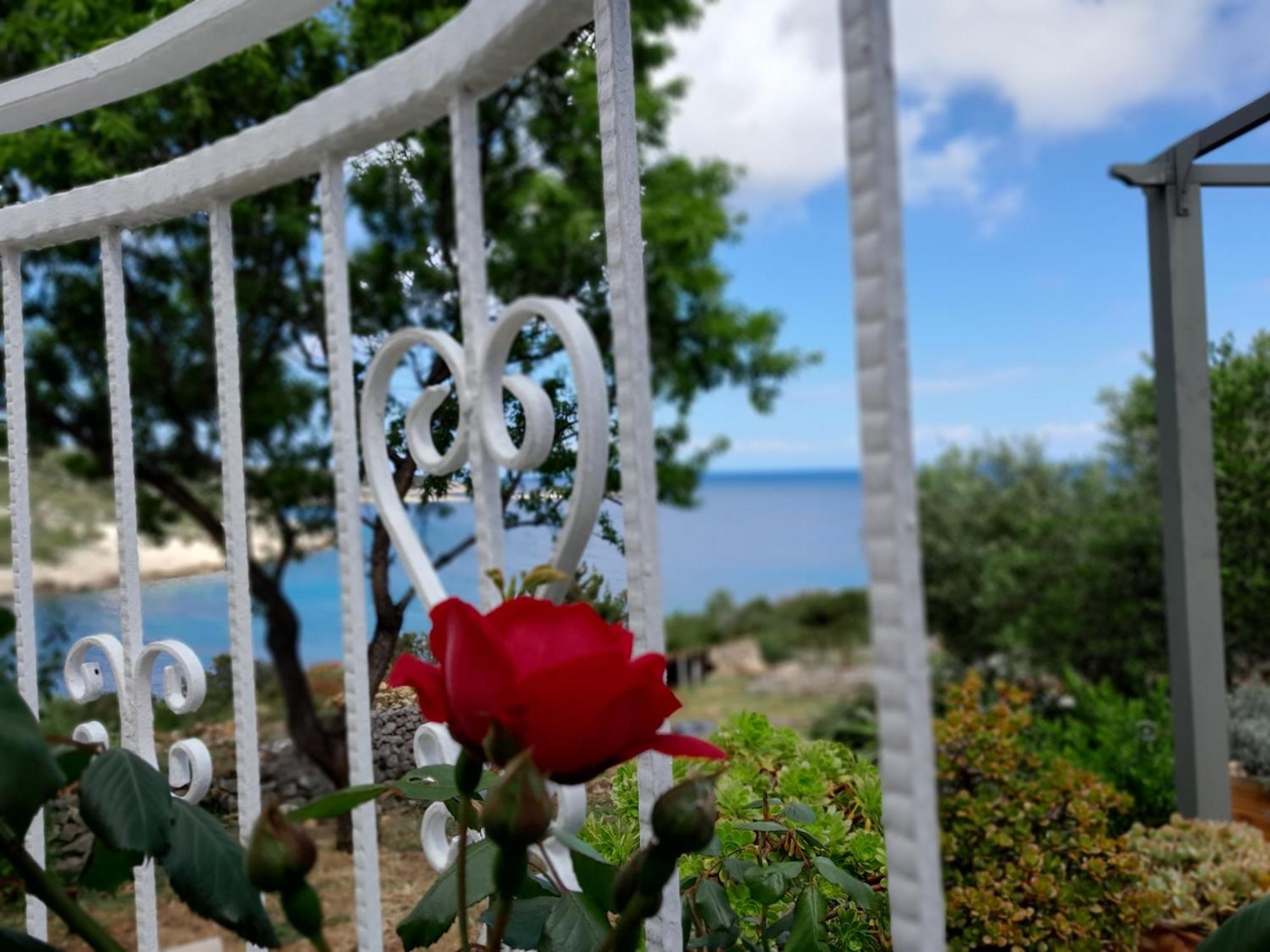 Moja Posebna Kuca Na Osami Kraj Mora Villa Vis Buitenkant foto